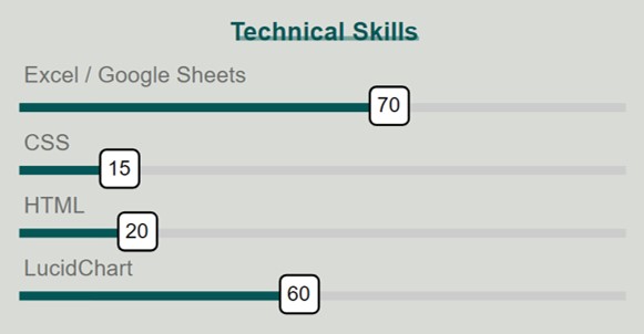 Image of technical skills: excel & google sheets ranks 70 out of 100; CSS ranks 15 out of 100; HTML ranks 20 out of 100; LucidChart ranks 60 out of 100